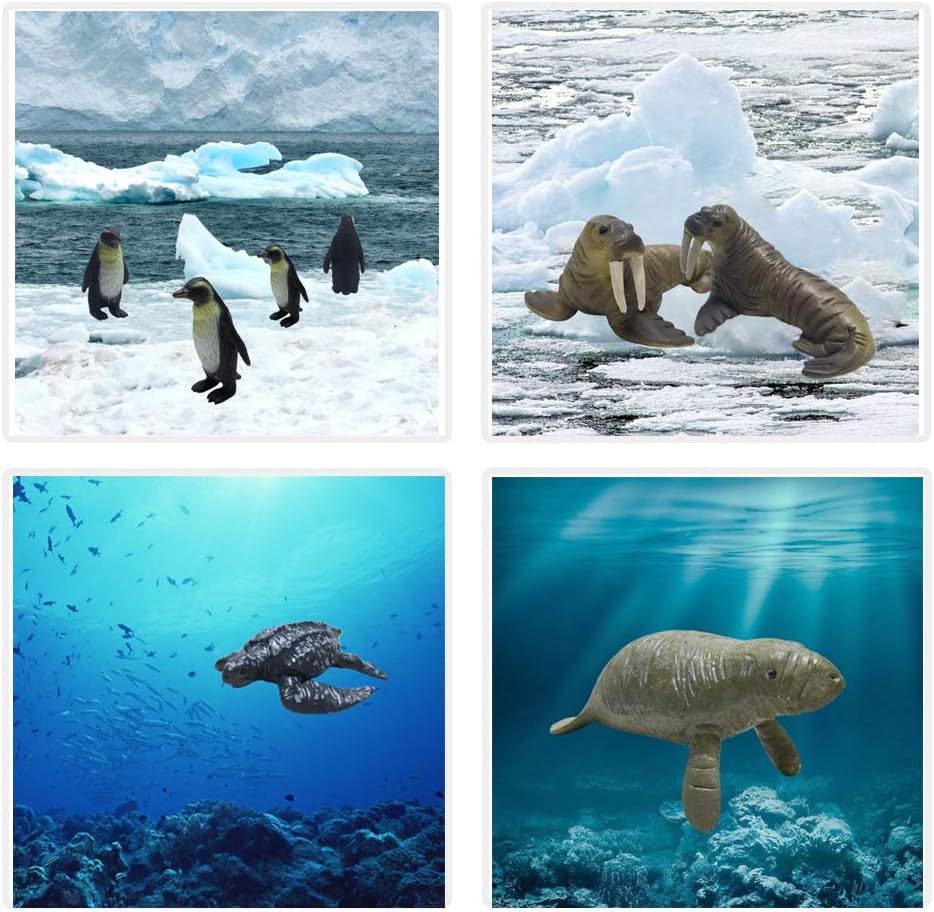 Sea Ocean Animals Pool Toys Bath Toys 12 Pack Set, Realistic Plastic Marine Figures Toy, Sea Life Creature, Rubber Ocean Creatures Figures Collection, Dolphin, White Shark, 2-4 inches.